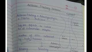 Anterior Pituitary Hormones  Adenohypophysis  Unit 04  Part 02 [upl. by Milde]