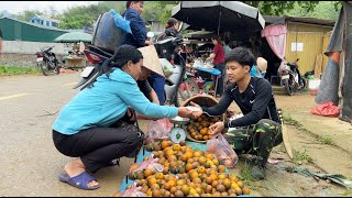 2 Year Off Grid Cabin in Forest  Harvest delicious oranges in the mountains go to market sell [upl. by Cletus]