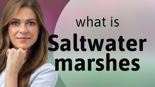 Understanding Saltwater Marshes A Vital Ecosystem [upl. by Leffen]