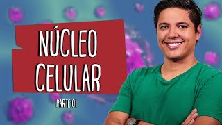 NÚCLEO CELULAR  Parte 01  Prof Kennedy Ramos [upl. by Aniryt]