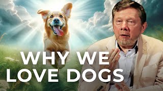 Eckhart Tolle on Dogs A Life Beyond Ego [upl. by Verity]