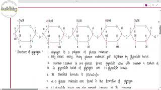 Glycosidic Bond [upl. by Mourant]