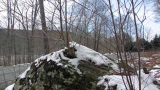 26 Sprawling Acres Callicoon NY Sullivan County [upl. by Maxia791]