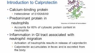 Calprotectin and Inflammatory Bowel Disease Hot Topic [upl. by Ibrahim488]