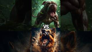 Pitbull VS Strongest Dogs [upl. by Andris]