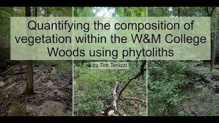 Quantifying the composition of vegetation with the WampM College Woods using phytoliths [upl. by Jenica202]