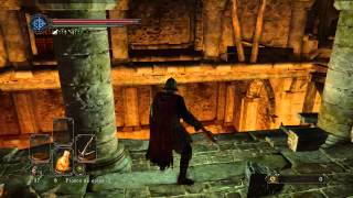 Dark Souls 2 Las dos salamandras de fuego 17 [upl. by Hogan850]