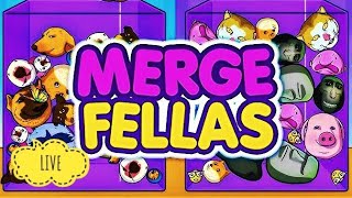 🔴 Merge Fellas  Kaif is live  live Gameplay live shorts gameplay [upl. by Ocirrej]