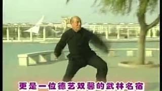 六合螳螂拳， 张玉坤 老师 [upl. by Abbe]