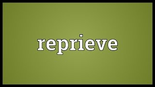 Reprieve Meaning [upl. by Renraw]