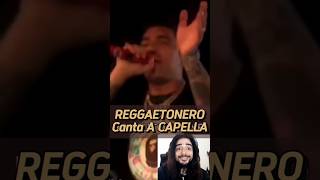 REGGAETONERO Canta A CAPELLA morosmylodon videoreaccion musicos [upl. by Anauqaj]