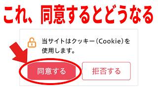 【同意しちゃった？】Cookieを許可するとどうなる？危険と対処法について [upl. by Graubert594]