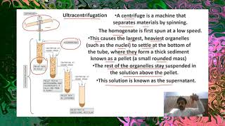 CHAPTER  3  Cell structure and functions  Part 1  Cell Fractionation  Sindh Text Board [upl. by Grimaldi]