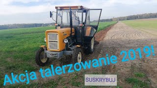 Akacja Talerzowanie 2019 Usrus c 360 3p amp talerzówka 14 m [upl. by Elon]