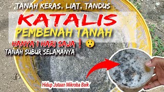 Tanah Tandus Keras Wajib tau ini‼️1 HARI MEMBUAT KATALIS PEMBENAH TANAH LANGSUNG APLIKASI [upl. by Blinny]