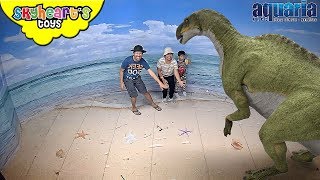 Meeting DINOSAURS for the first time  Skyhearts toys dinosaurs for kids toys [upl. by Abisia]