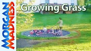 Growing Grass Around Our Inground Trampoline [upl. by Aihsenrad]