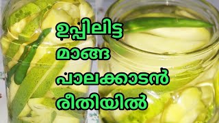 Manga Uppilittathu  മാങ്ങ ഉപ്പിലിട്ടത്  Palakkad Style How to make uppilitta manga in malayalam [upl. by Alister]