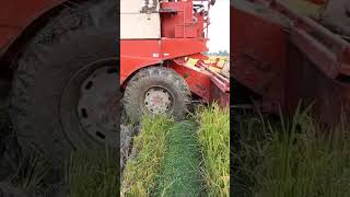 dhankatagadi tractor automobile tractorvideo harvest taktar [upl. by Oluas498]