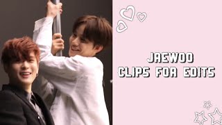 Jaewoo clips for edits nct pt2 [upl. by Ebbie]