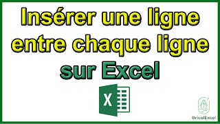 Comment insérer une ligne entre chaque ligne Excel [upl. by Nilesoy]