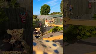 Drusillas Zoo Park UK 🇬🇧 shorts ytshorts viralshorts short trending [upl. by Orsay308]