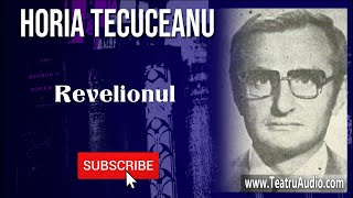 Revelionul  Horia Tecuceanu [upl. by Brooks]