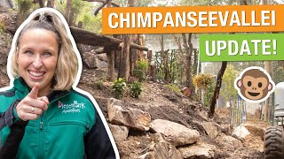 Bouwupdate achter de schermen bij de nieuwe Chimpanseevallei 🐵 Bouwvideo 4  Chimpanseevallei [upl. by Navak633]