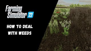 FS22  How To Deal With Weeds  Farming Simulator 22 [upl. by Eissehc]