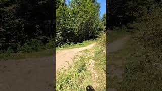 Klínovec baikepark dh line last jump Klinovec mountainbike downhill fypage mtbbike downhillmtb [upl. by Ffilc]