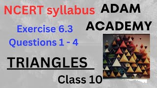 TRIANGLES  Class 10 NCERT syllabus Exercise 63 [upl. by Yblocaj631]