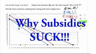 Why Subsidies Suck Using Consumer Theory [upl. by Clauddetta]