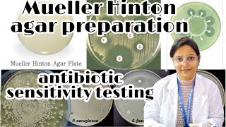 Mueller Hinton agar preparation what is the use in microbiology lab muellarhintonagarmueller [upl. by Nytsuj994]