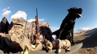 Chukar Chasers October Chukar Hunt [upl. by Aneehsal]