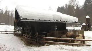 Bavarian Forest  Three Travel Tips  Discover Germany [upl. by Redfield]