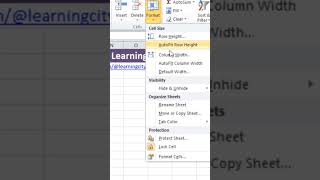 Set Column Width amp Row Height in Excel excel customsetting [upl. by Nims696]