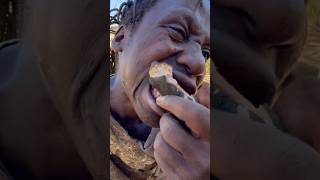 This baboon is so delicioushadzatribe foodnature documentary [upl. by Malvia]