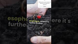 digestivesystemofEarthworms earthworm annelida annelids biofacts biologyviralscience bio [upl. by Nicholle]