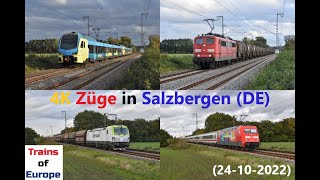 4K Züge in Salzbergen DE 24102022 [upl. by Sumer619]