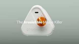 Introducing the Goodnature Mouse Trap  A Humane SelfResetting Solution [upl. by Kohler]