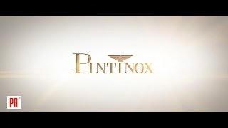 Итальянская фабрика PINTINOX [upl. by Adnof813]