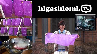 higashiomiTV 59☆「ムラサキ」で染色体験をリポート [upl. by Yelrak895]