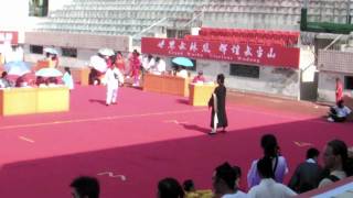 Wudang Traditional Wushu Competition 2008 Part 3 [upl. by Selda350]