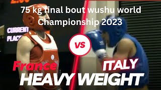 2023 World Wushu Championship 75 kg final bout 🏅🏅 wushu fights🔥👊🔥 [upl. by Yeltsew]