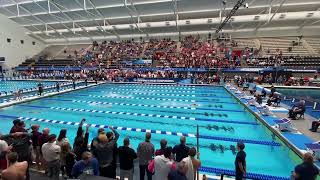 Leon Marchand  500 Freestyle 4023  NCAA Record [upl. by Tessler121]