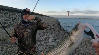 LAKE TEXOMA PESCA CON LA BANDA🔥🔥🔥🔥🔥 [upl. by Nonek]