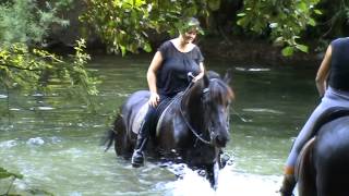 Buitenrit zwemmen Berendonck  Saskia en Noor [upl. by Lahcym]