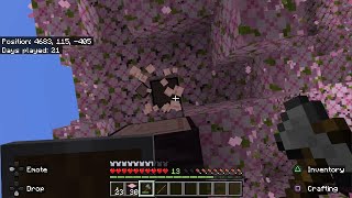 Making My House Part 2  Easy Survival 121  Episode 4  Minecraft PS5 [upl. by Noiz]