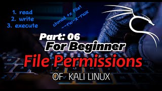 File Permission In Kali Linux  chmod Command In Urdu amp Hindi  Full Explanation [upl. by Landes]