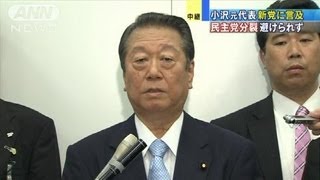 小沢元代表が新党に言及 民主党分裂避けられず（120621 [upl. by Hsur381]